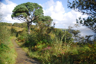 Walk photo
