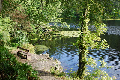 Walk photo
