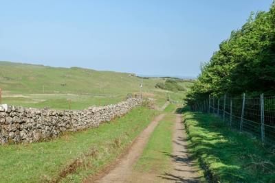 Walk photo