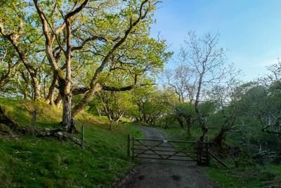Walk photo