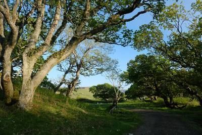 Walk photo