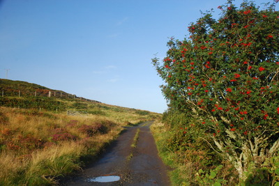 Walk photo
