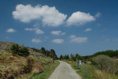 Walk photo