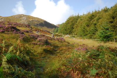 Walk photo