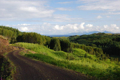 Walk photo