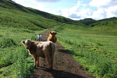 Walk photo