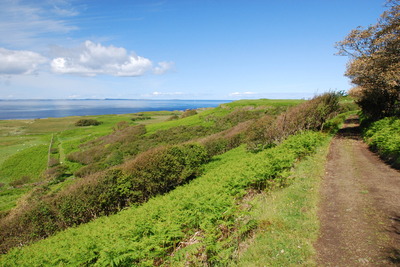 Walk photo