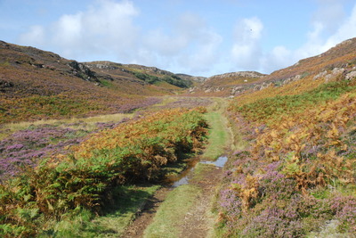 Walk photo