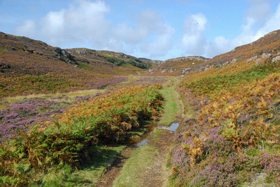 Walk photo