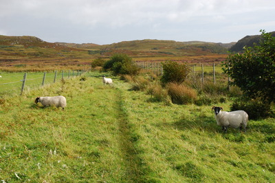 Walk photo