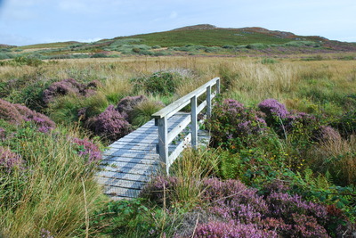 Walk photo