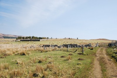Walk photo