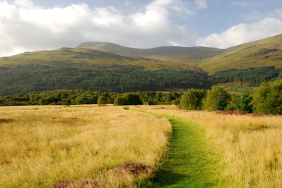 Walk photo