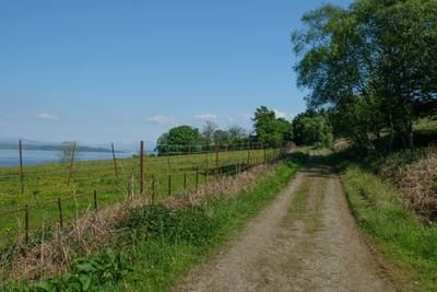 Walk photo