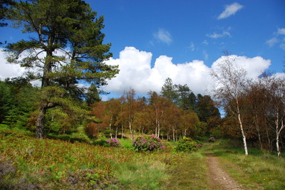 Walk photo