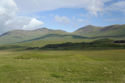 Walk photo