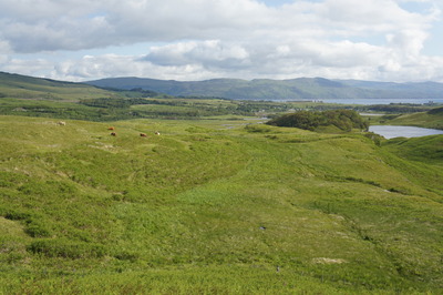 Walk photo