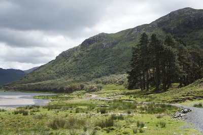 Walk photo