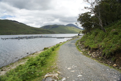 Walk photo