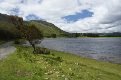 Walk photo
