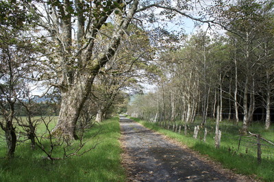 Walk photo
