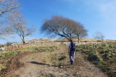 Walk photo