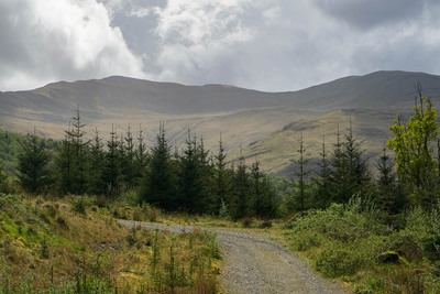 Walk photo