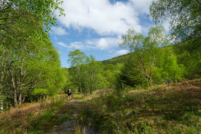 Walk photo
