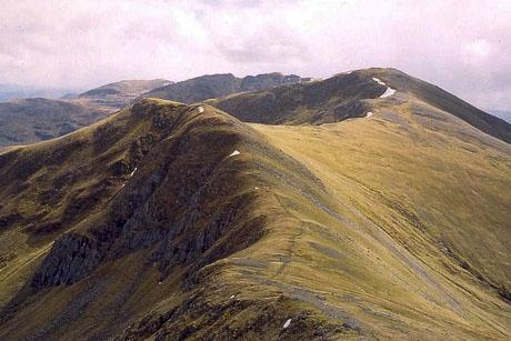 Maol chinn-dearg