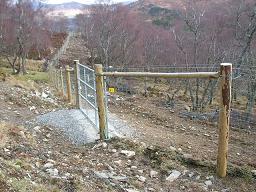 Existing Alladale Fence - &copy;Steven Middlemiss, reproduced under CC licence