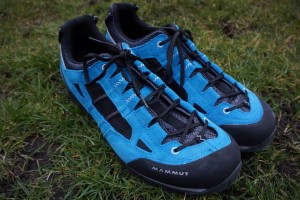 Mammut