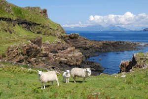 Mull is one of the areas proposed