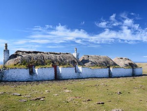 tiree