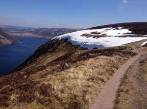 snowcoveredtrack