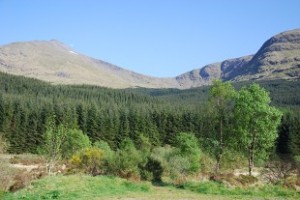 Ben Lui