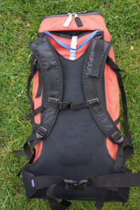 back