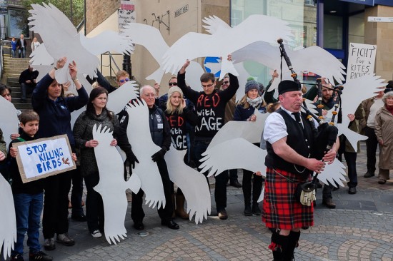 Protesters against raptor persecution in Inverness