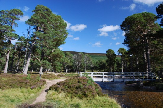 The Derry Footbridge - now swept away