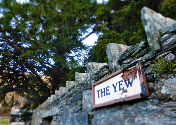 Yew sign