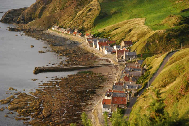 crovie