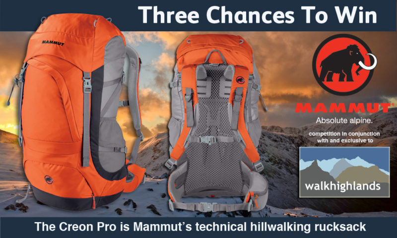 Mammut competition