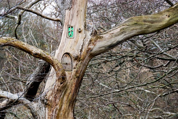 pressmennan-wood