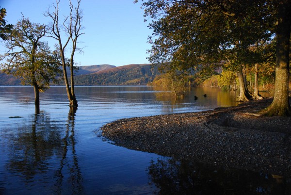 Shore of Loch Lomond at Sallochy