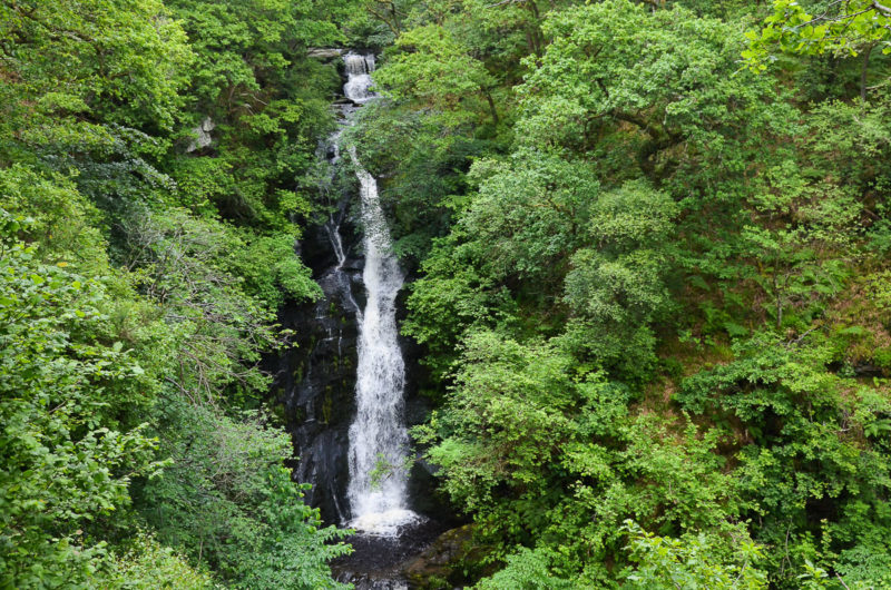 black-spout