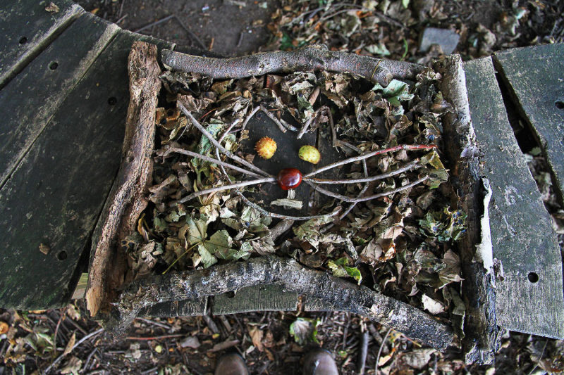 Natural art in a natural frame.  A great activity for kids any time of the year.