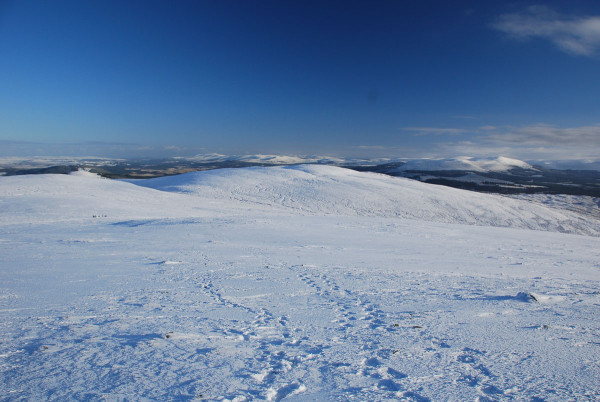 Protected: the wild land of the Monadhliath plateau near the Allt Duine site