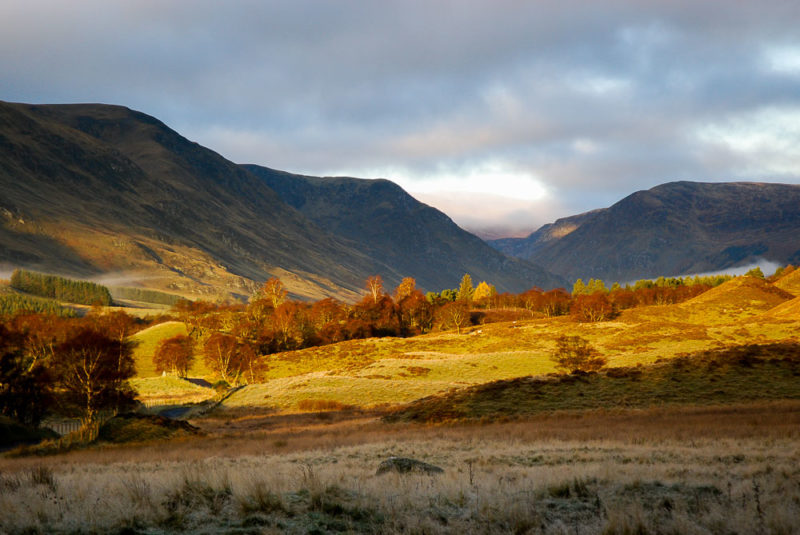 clova