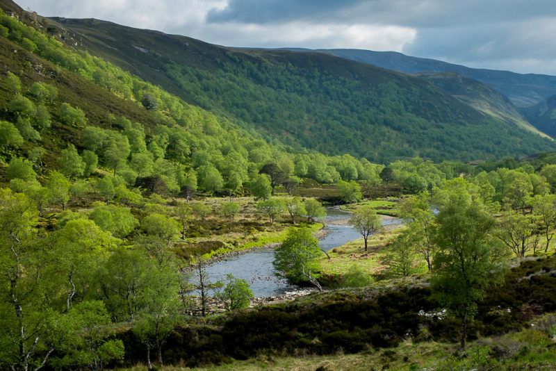 gleann-mor-alladale