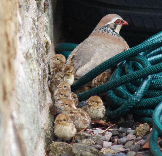 One of those extraordinary, intimate and precious moments