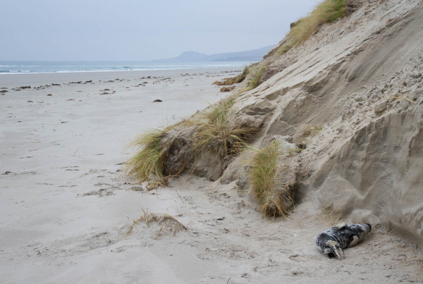Alone on the beach, and so small!